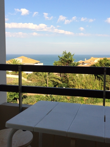 Vue mer d'exception limite Biarritz la plage àpied 63 €