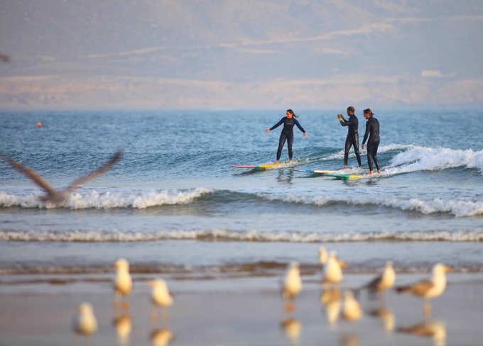 Travel Surf Morocco SURF CAMP 90 €