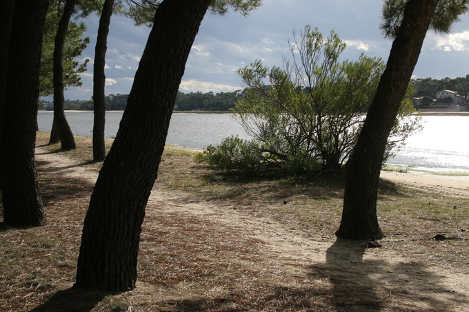 QUIET PARADISE IN THE CORE OF HOSSEGOR €80