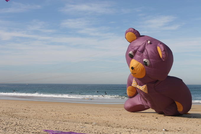 QUIET PARADISE IN THE CORE OF HOSSEGOR €80