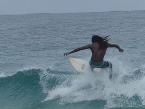 Surf&Chill Bastimentos Jungle Lodge Ocean View €65