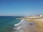 THE Savannah apartment facing the Capbreton spots €45