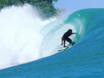 Surf Break at Paunch - Tree Cabin €81