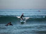 Surf Discovery Morocco, €70