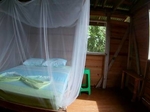 Surf&Chill Bastimentos Jungle Lodge Ocean View €65