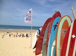 Cottage 4/5 p with pool near LANDES ocean €78