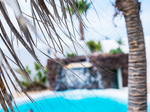 Surf vacances à Tenerife 25 €