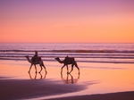 Adrar Beach Morocco Surf - Yoga €32