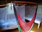 Surf&Chill Bastimentos Jungle Lodge Ocean View €65