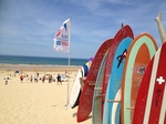 Cottage 2/4 p with pool near LANDES ocean €68