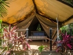 Private & comfortable Tent Playa Grande #1 €89