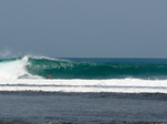 Cabana Surf and Stay, Premium Hut 35 €