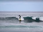 Surf Holidays in Tenerife €25