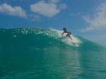 Surf&Chill Bastimentos Jungle Lodge Ocean View €65