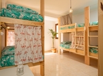 Avocado Surf Hostel - 20 meters to the surfspot! €24