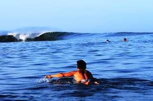 Surfer-Paradise P.